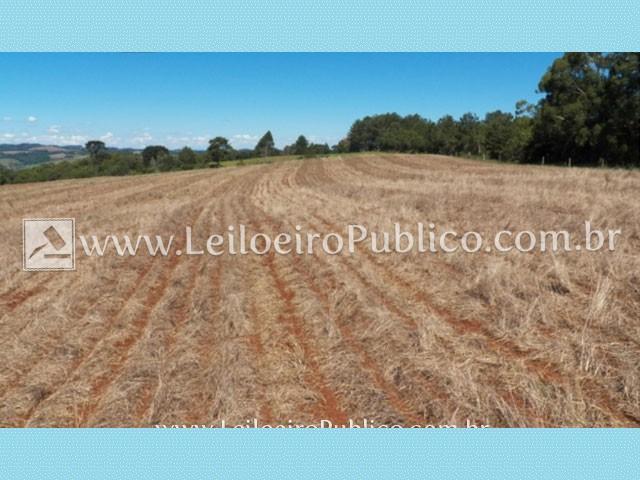 Laranjeiras Do Sul (pr): Terreno Rural 19.285,00m? erdvh rubdt - Foto 4