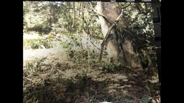 Chácaras em Luziânia à partir de 1.562 metros quadrados - Foto 14