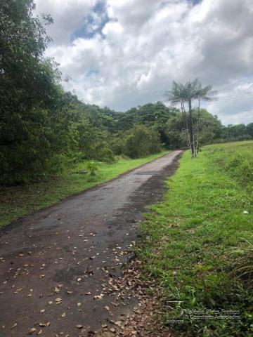 Sítio à venda em Maguari, Benevides cod:6752 - Foto 4
