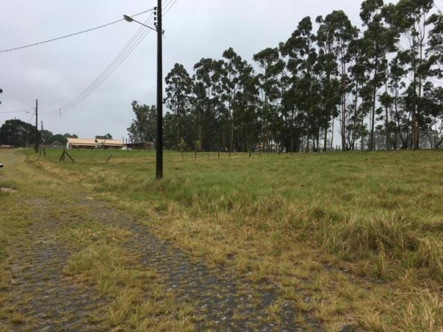 Terreno para venda em imbituba, alto arroio - Foto 9