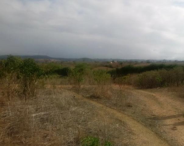 Ótima propriedade de 120 hectares, 70% plana, em Gravatá-PE. Por apenas R$ 780 mil! - Foto 6