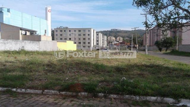 Terreno à venda em Jardim leopoldina, Porto alegre cod:186462