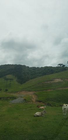 Terreno em Bom Retiro/área rural em Bom Retiro - Foto 6