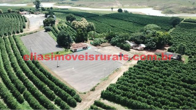 Fazenda de café - 110.000 pés - Patrocínio - MG - Foto 10