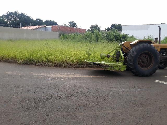 Limpeza de terrenos