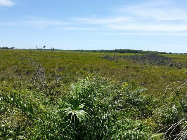 Fazenda próxima à Mucuri, Bahia