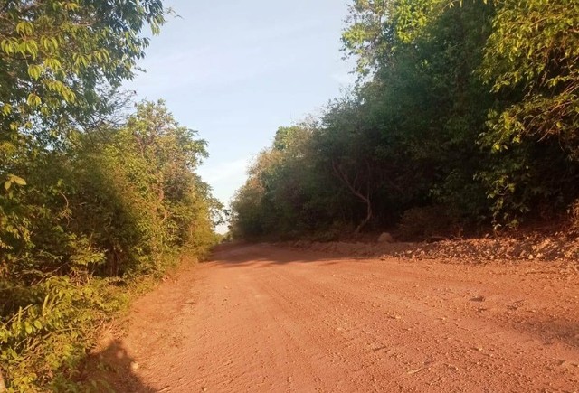 TERRENO DE 15 HECTARES PRÓXIMO DE JOSÉ DE FREITAS-PI - Foto 2