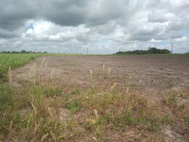Vendo terreno em Periperi, município de Boca da Mata.