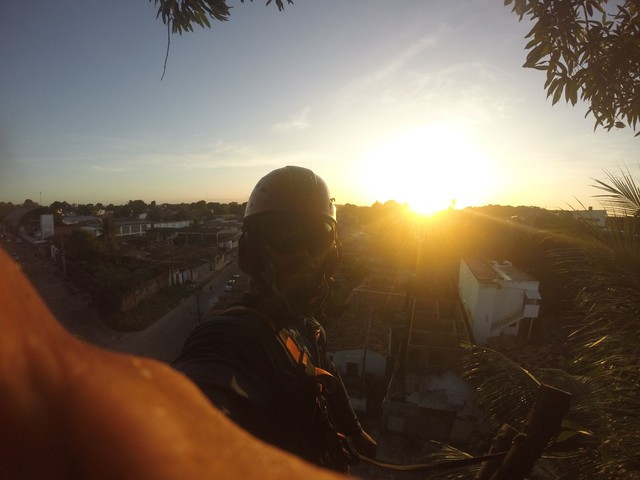 Trabalhamos com poda de árvores limpeza de terrenos e remoção de resíduos  - Foto 6