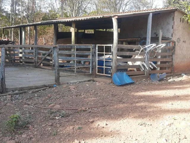 Fazenda à venda - Unaí - Foto 5