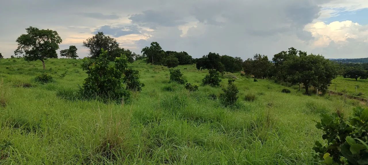 Chácara em buriti de Goiás  - Foto 2