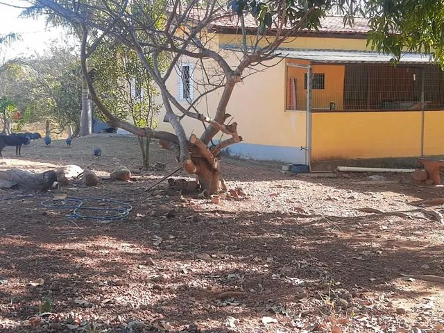Fazenda à venda - Unaí