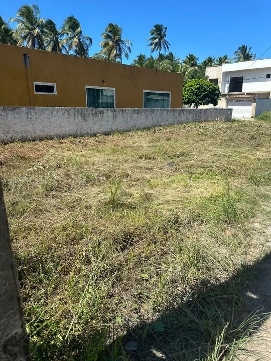 Oferta | Terreno 10x25 - 250m² em Brarra de Sirinhaém | Praia do Gaiamum - Foto 4
