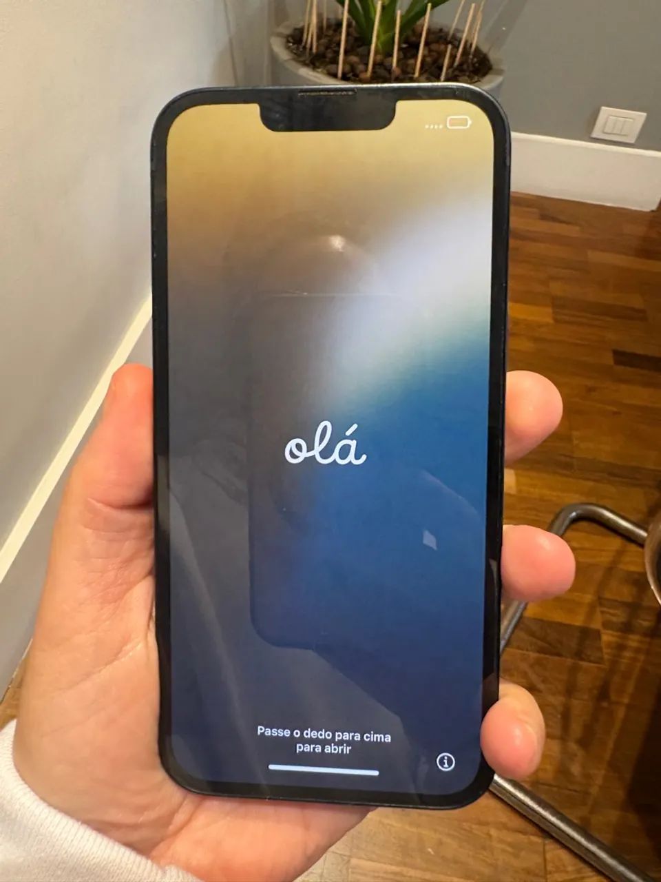 iPhone 13