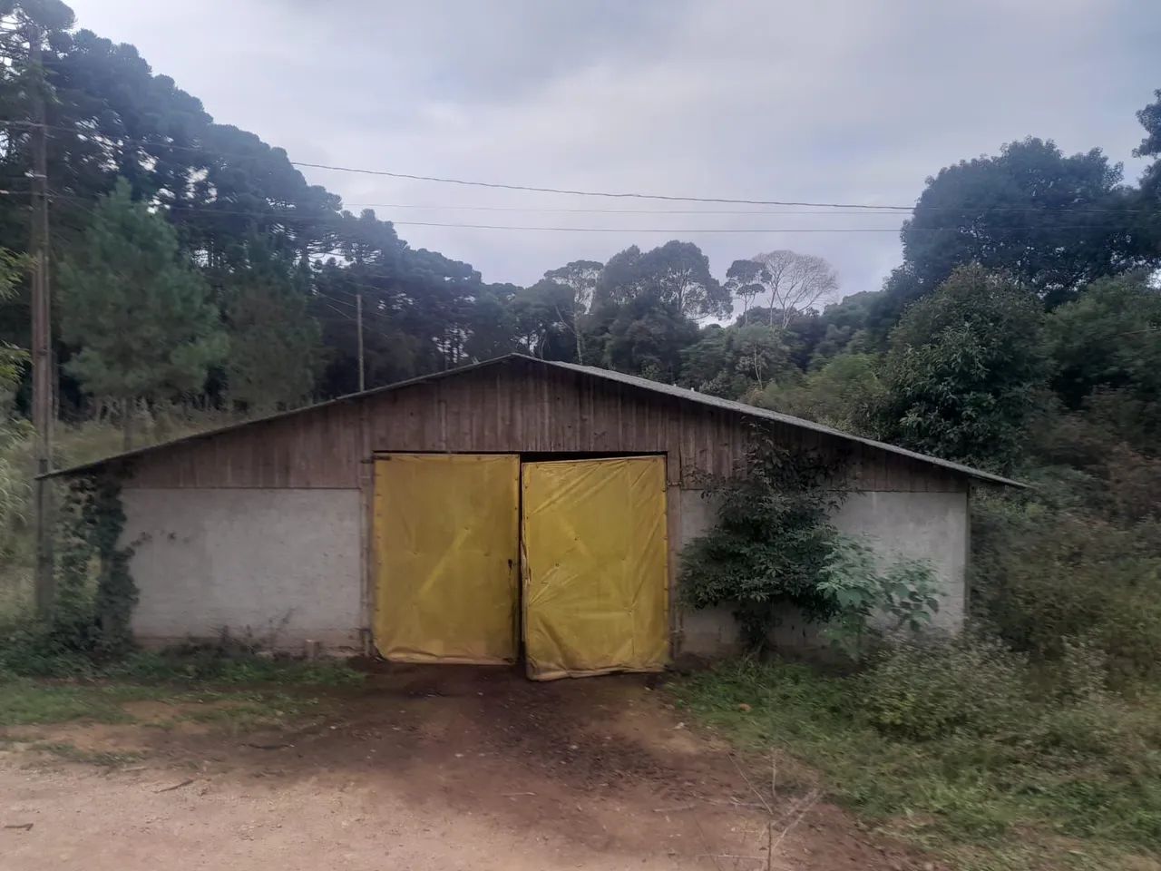 Vendo terreno medindo meio alqueire com galpao de 600 metros , luz instalada nascente agua - Foto 4