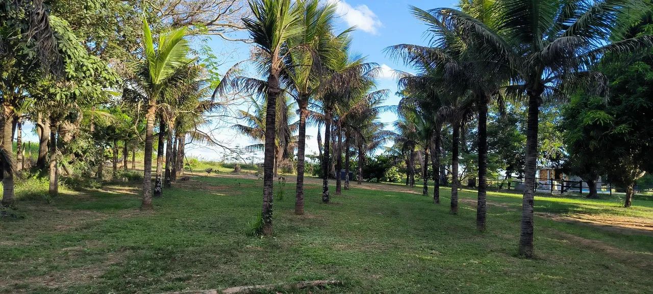 Foto - Goiânia - Residencial Humaitá