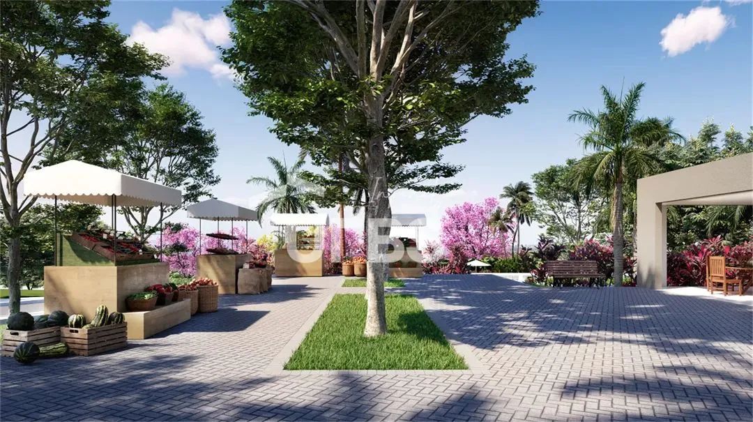 Ágio Lote à Venda no Jardins Roma  Senador Canedo | 262,50m² - Foto 4