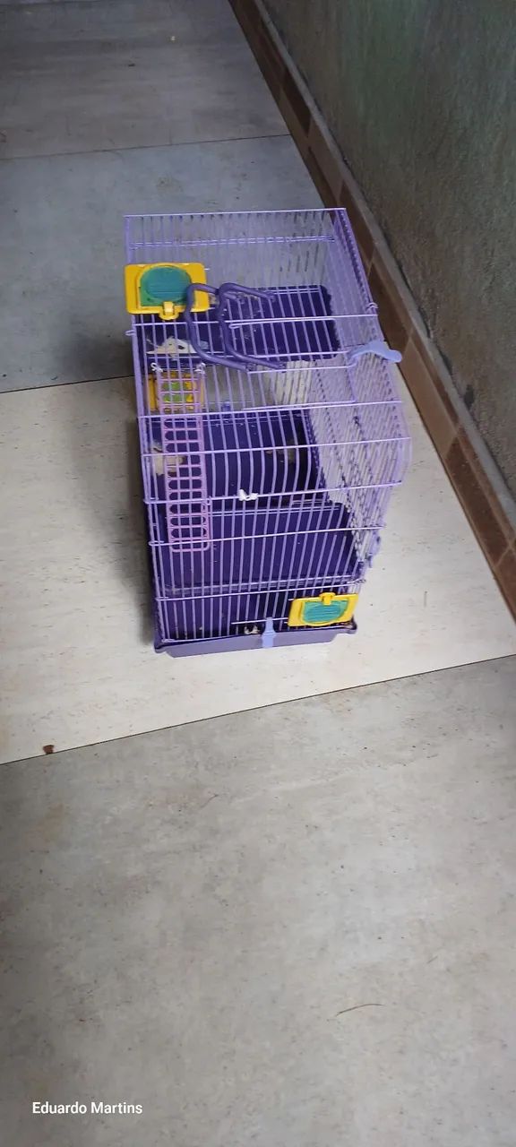 Gaiola para hamister 64606908417411121