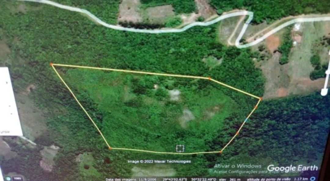 Terreno em área rural , 10 hectares com plantação de eucalipto 