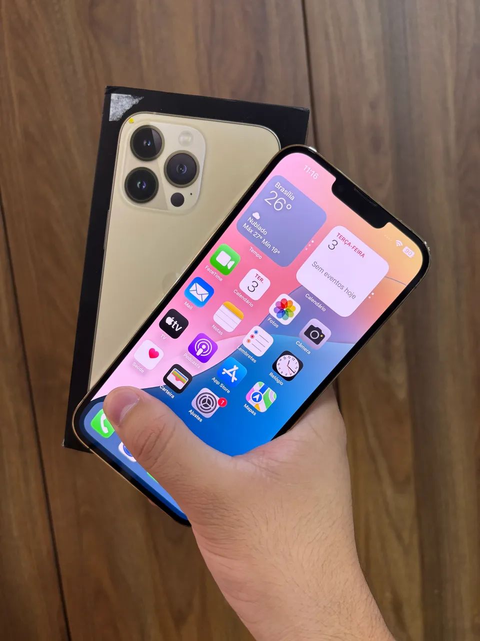 iPhone 13 Pro maxx com menor preço da região / brindes e garantia 