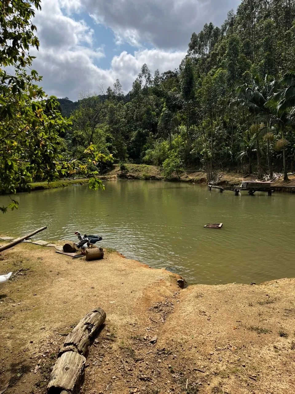 Sítio em São Bonifácio 