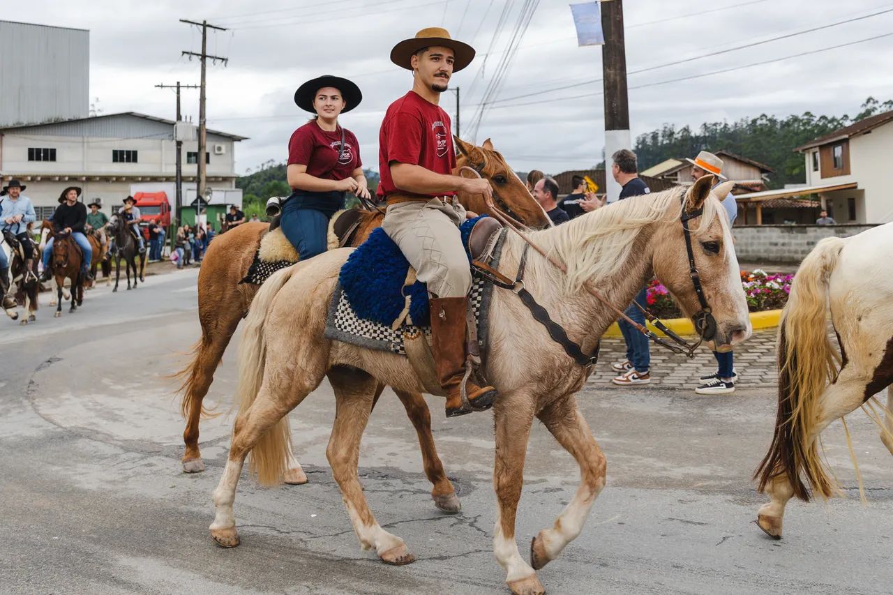 Vendo Mangalarga Marchador - Foto 2