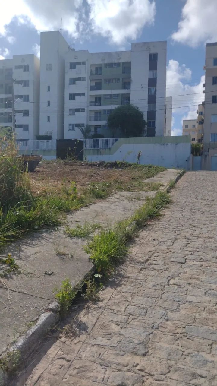 Vendo Terreno 250 m2 em frente à prédio, comércio, com rua calçada.  - Foto 2