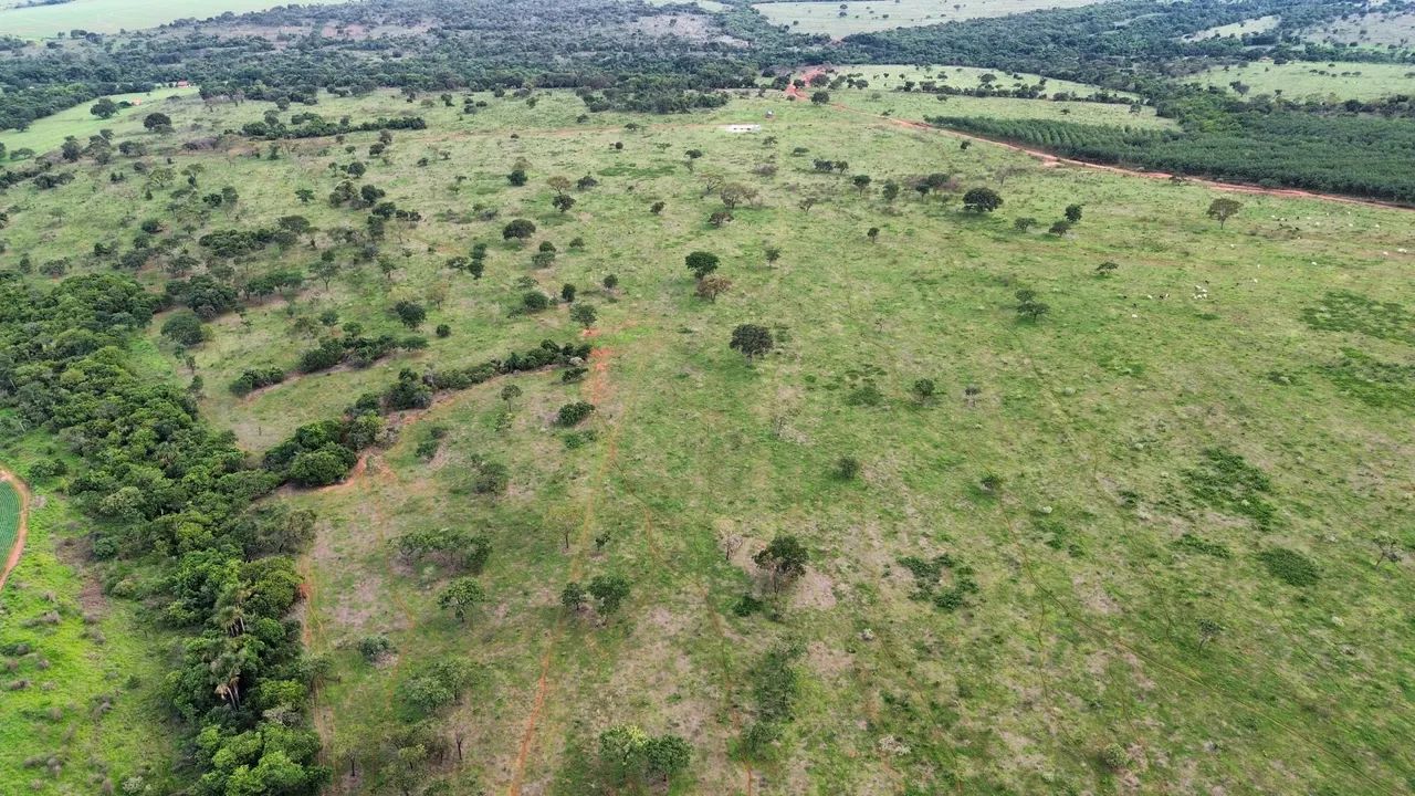 Fazenda dupla aptidão município de ituitaba  - Foto 5