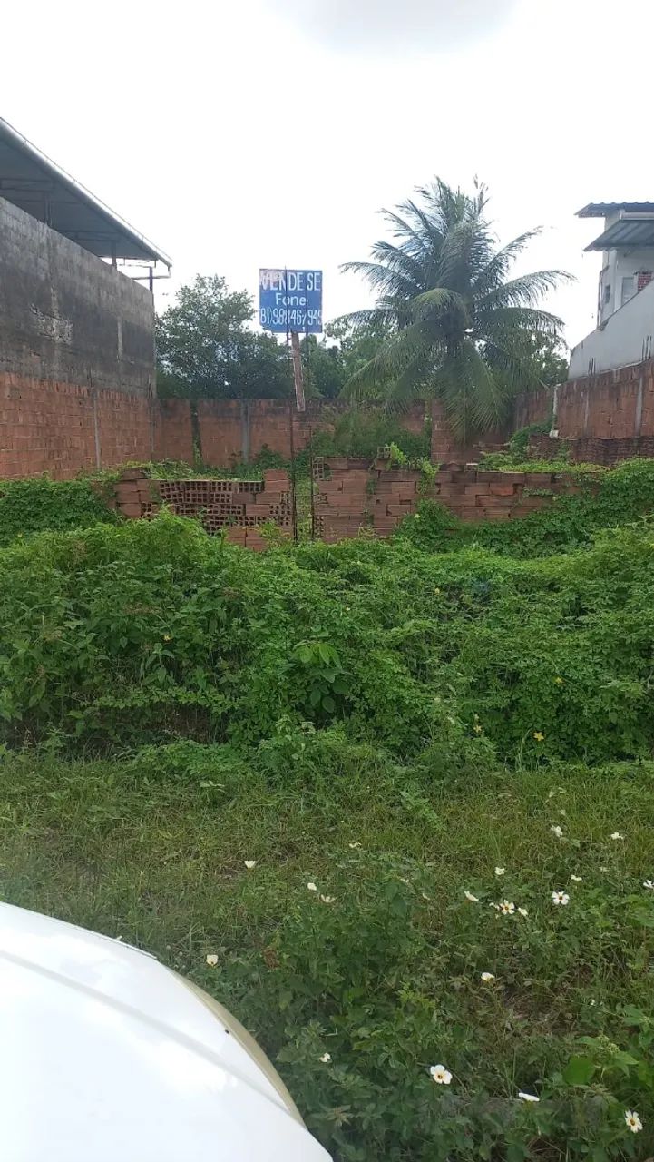 Foto - Paulista - Artur Lundgren II