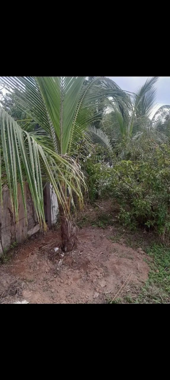 Terreno 10×30  - Foto 3