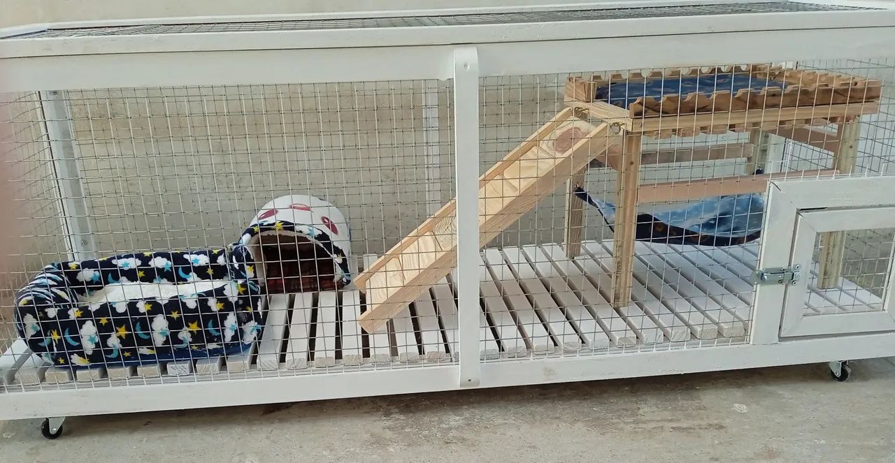 Cercadinho para porquinho da índia  - Foto 3