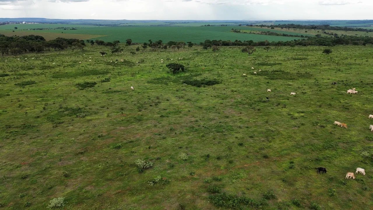 Fazenda dupla aptidão município de ituitaba  - Foto 3