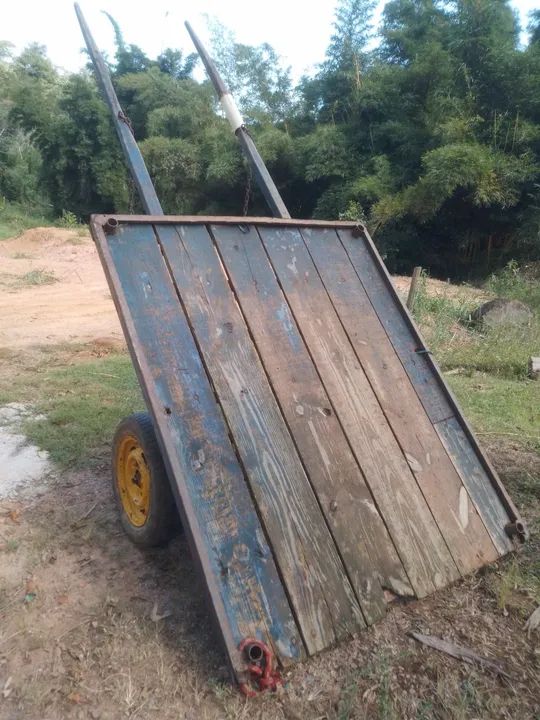 Prancha pra cavalo. - Foto 4