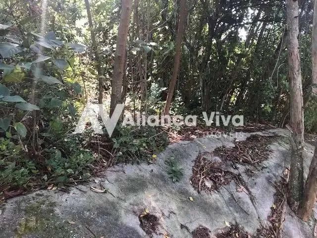 Jardim Botânico | Terreno - Foto 4