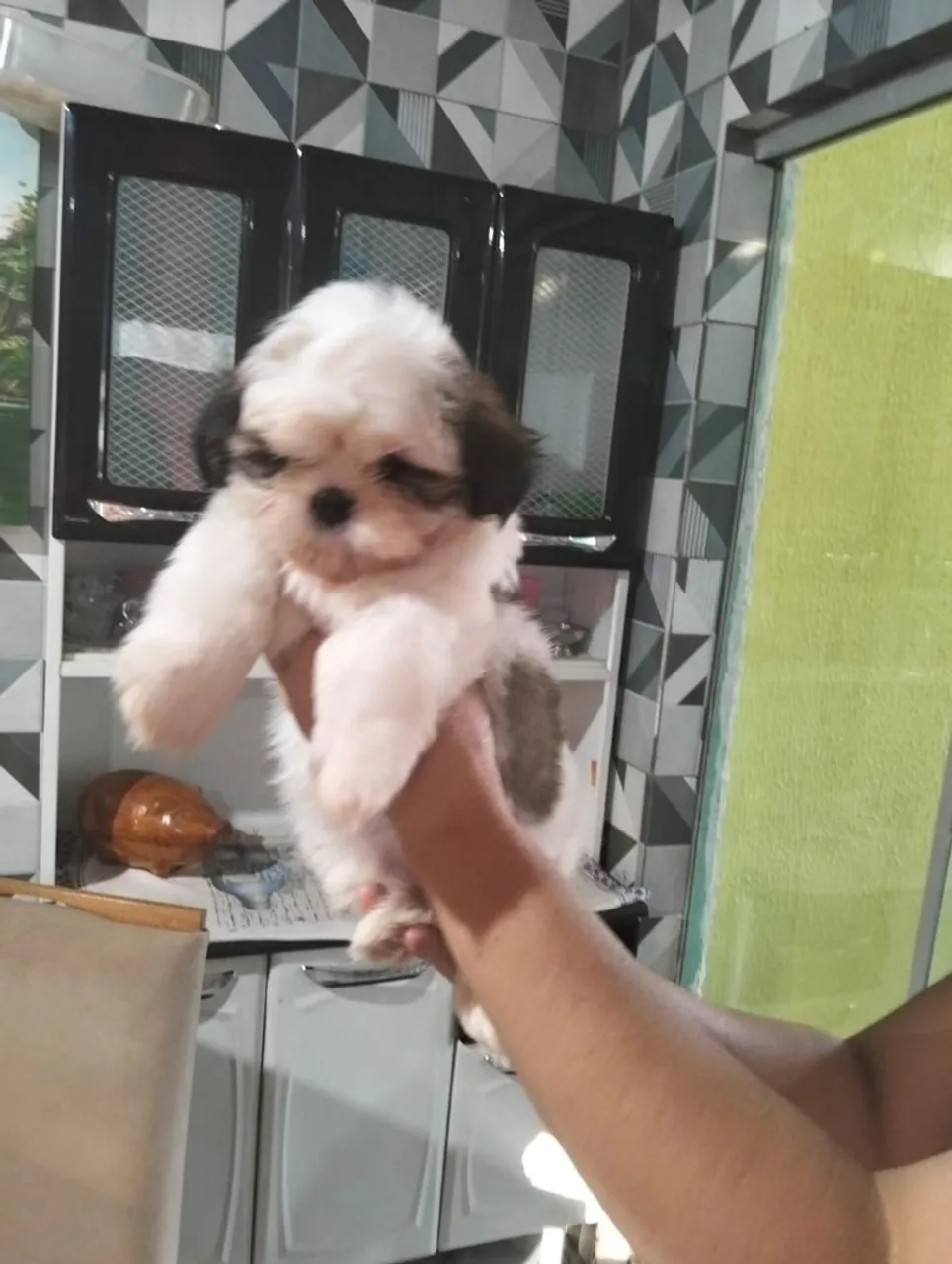 Vendo shiatsu