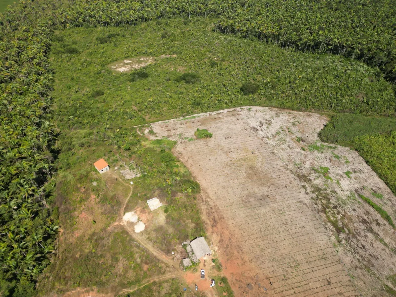 Fazenda em Buriti (de Inácia Vaz)