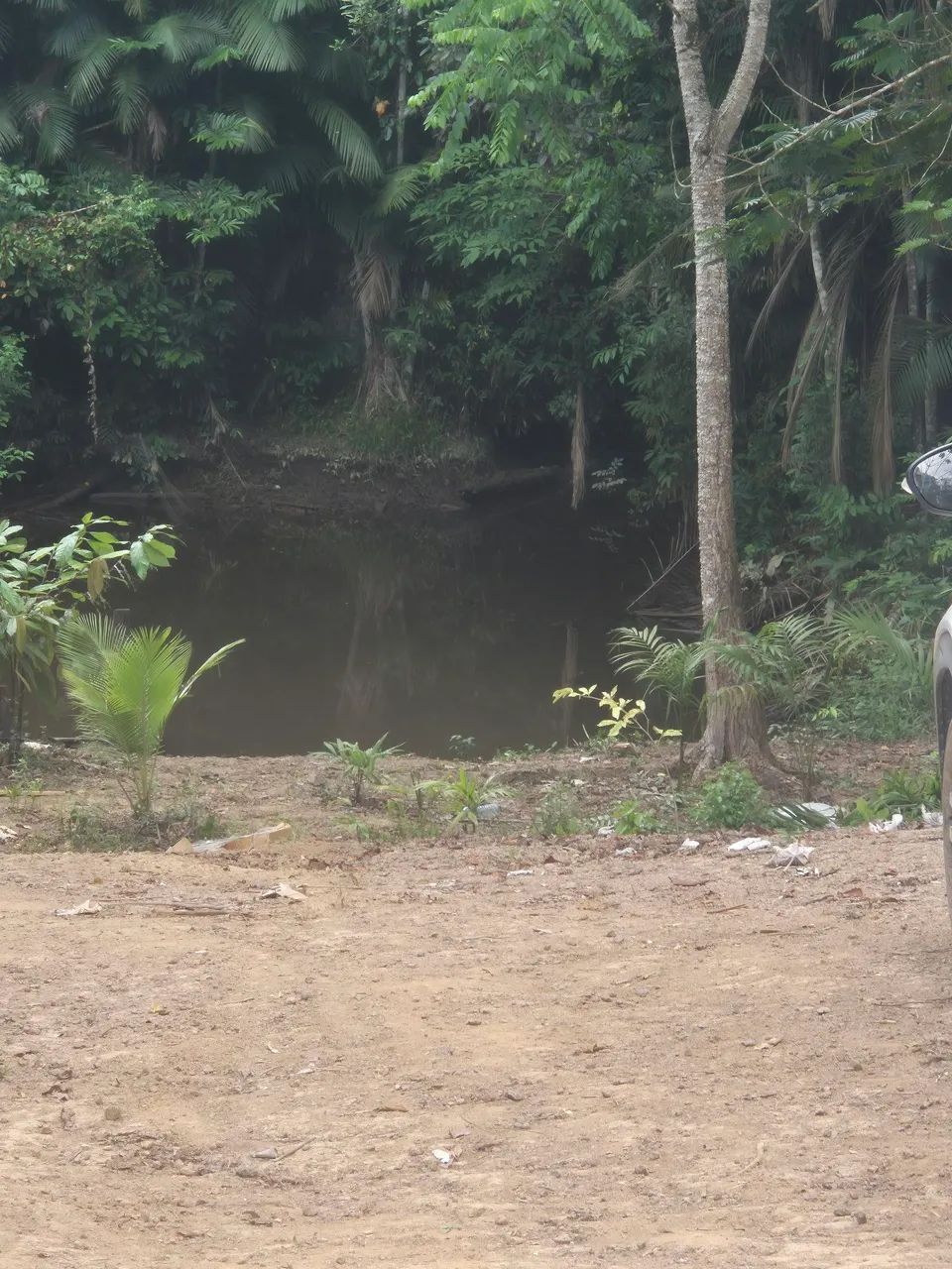 Foto - Macapá - Cidade Nova