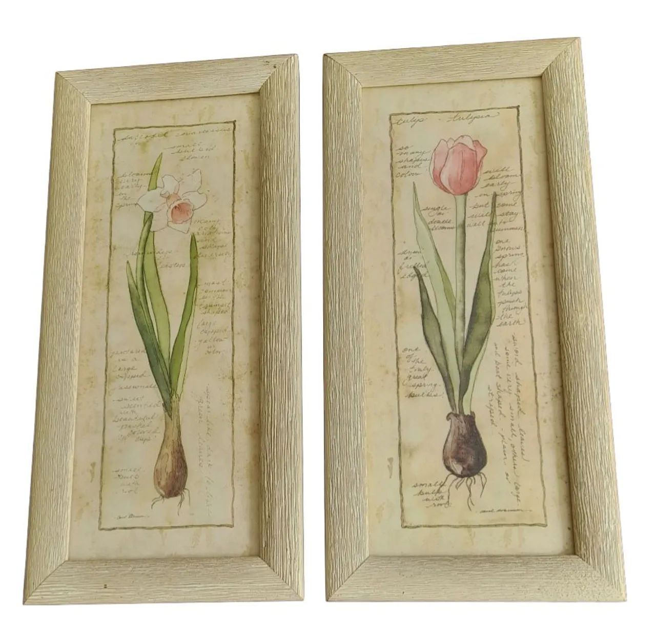 Quadros Decorativos com Desenhos de Flores - 13 cm X 28 cm