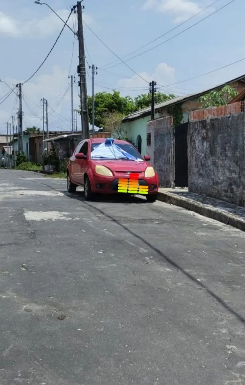 Foto - Manaus - Raiz