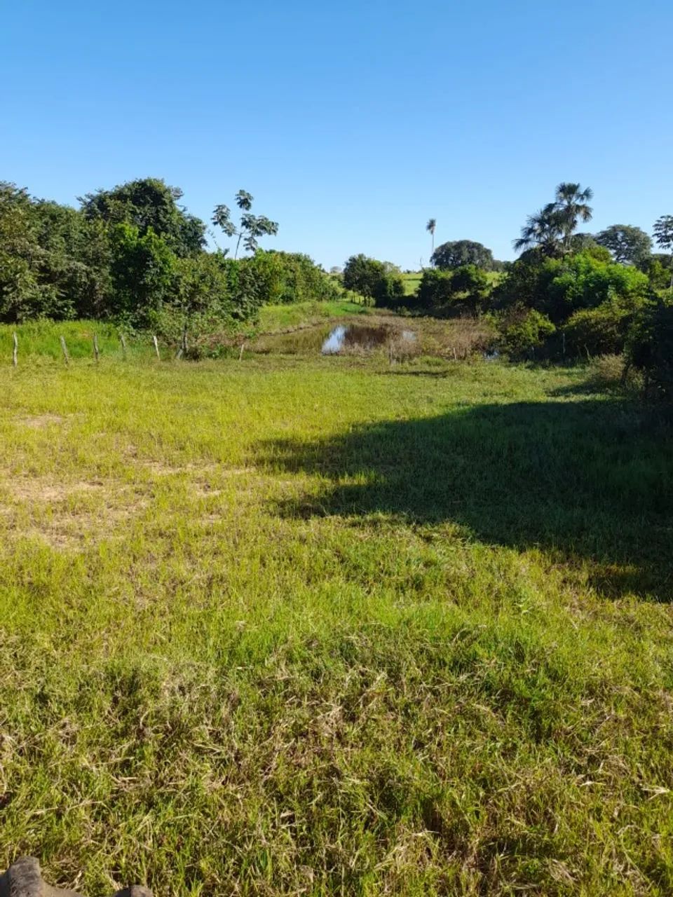 Fazenda de 97 alqu Aparecida do Tabuado - Foto 3