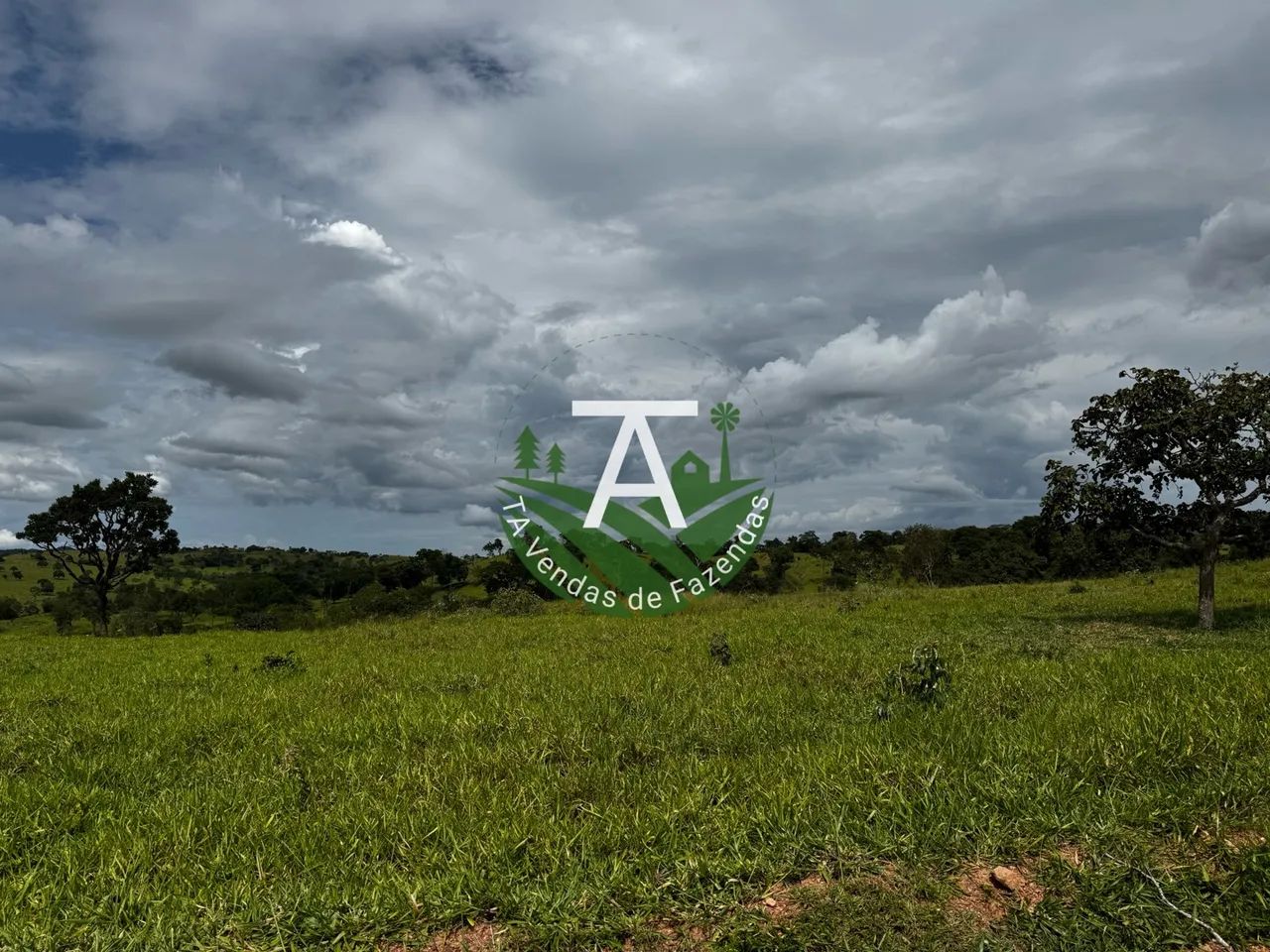 Fazenda de 64 alq em Ipameri-GO - Foto 5