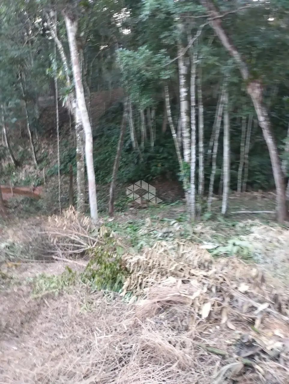 Terreno no bairro Forquilhas, em São José - SC - Foto 3