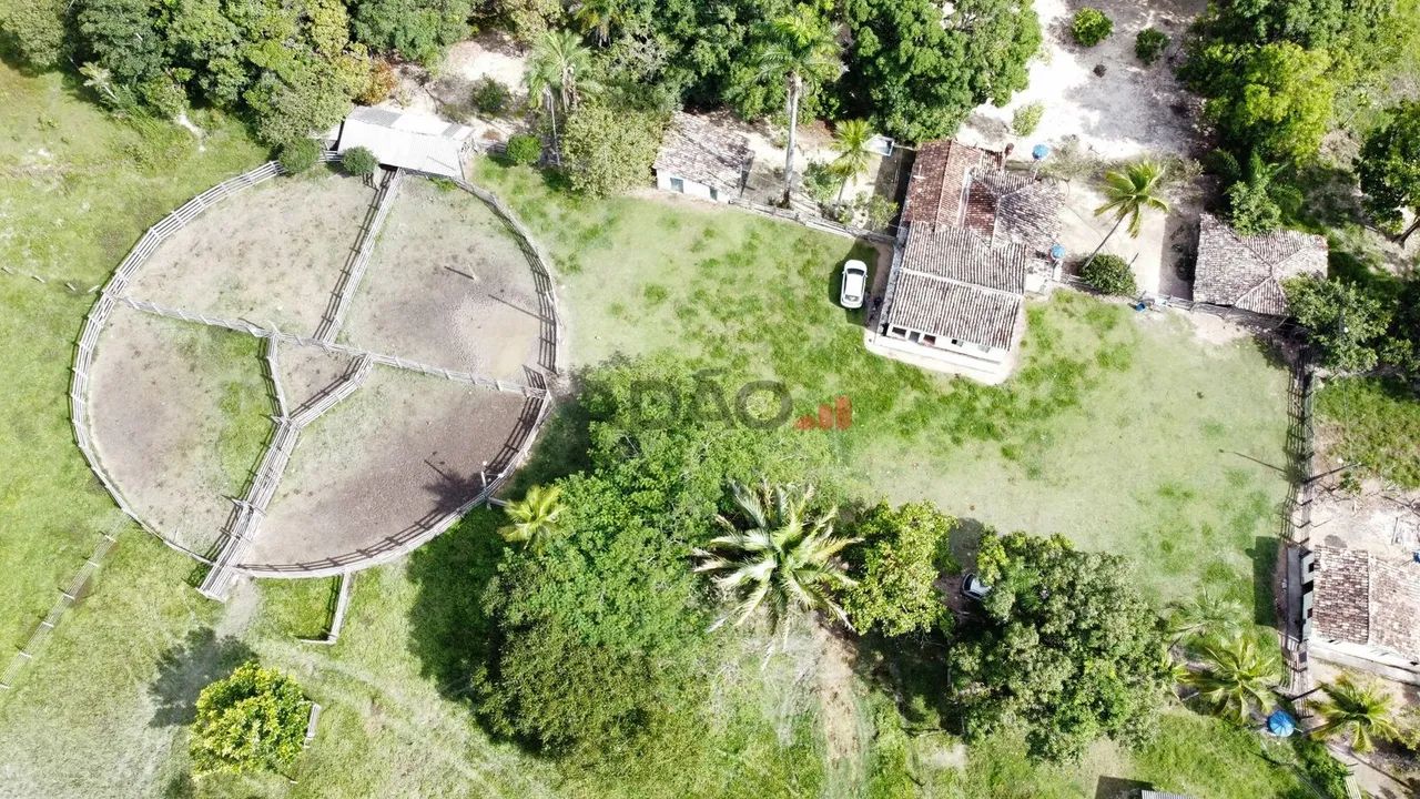 Fazenda em Itapuranga 33 alqueires - Foto 3