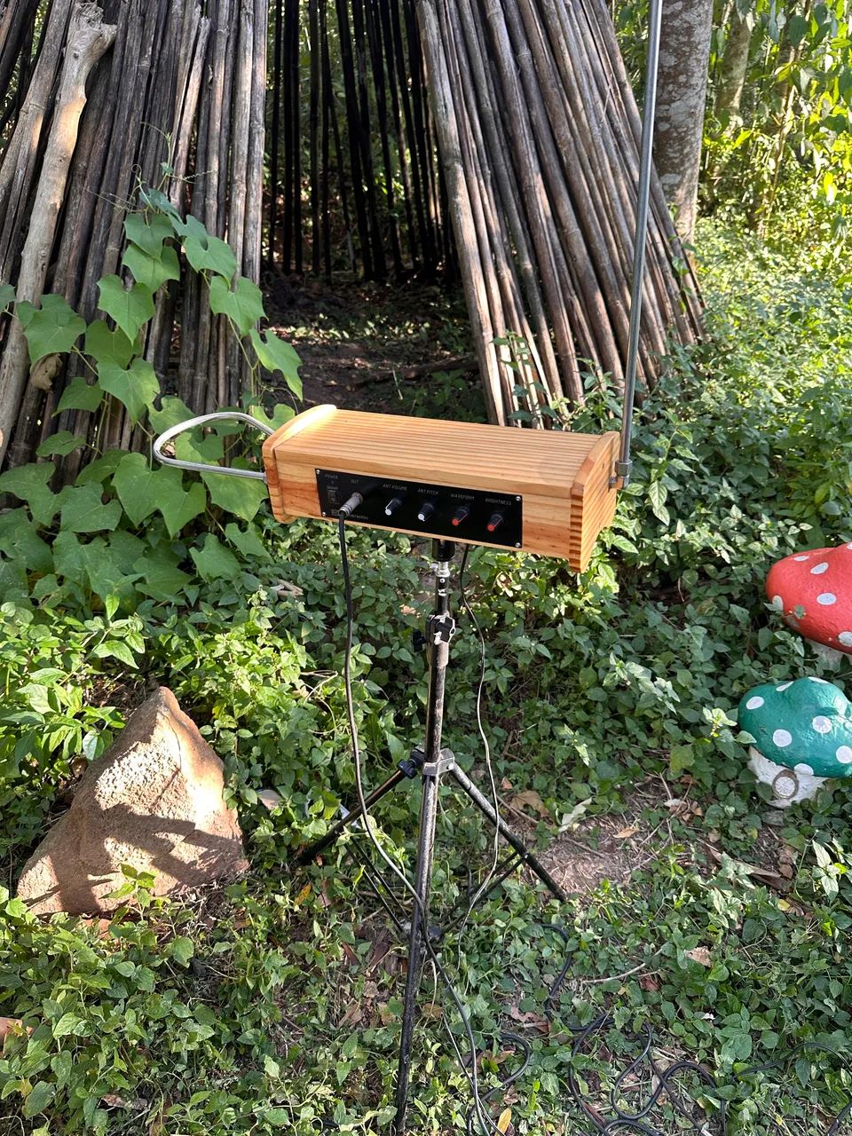 Theremin  - Foto 2