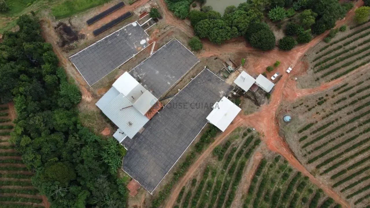 CAFÉ  PRODUÇÃO E QUALIDADE - Foto 2