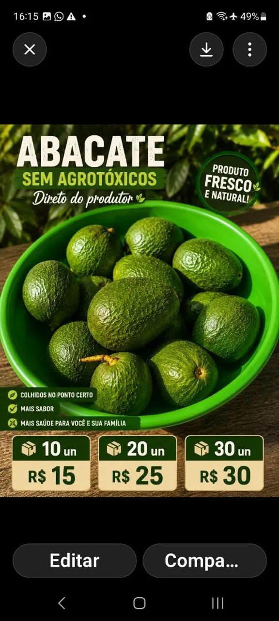 Abacate sem agrotóxicos 