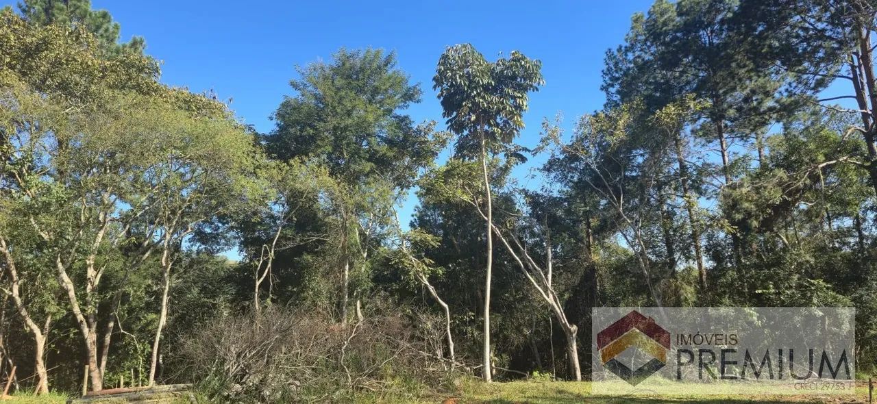 Lote / Terreno em Tapanhão - Jambeiro - Foto 5