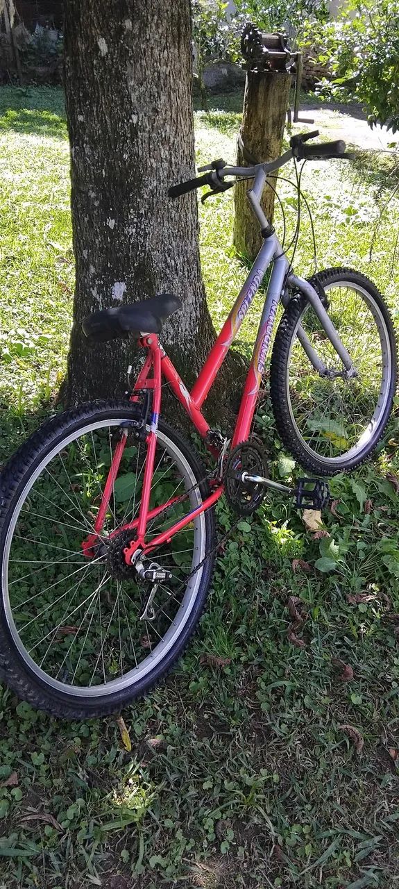 Bicicleta 18 marchas - Foto 4