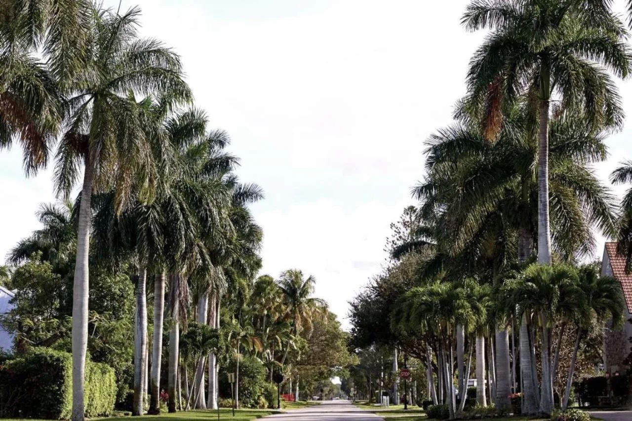 Terreno para Venda em Florianópolis, Campeche - Foto 2