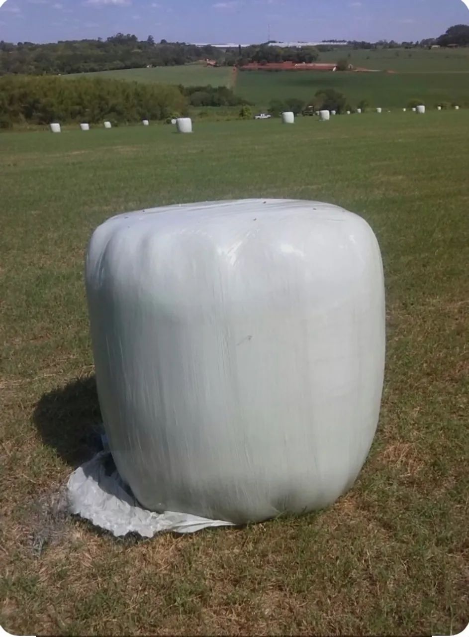 Bolas de feno Pré-secado.
